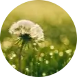 User Cindy